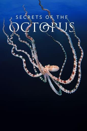 Secrets of the Octopus image