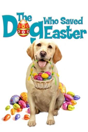 The Dog Who Saved Easter