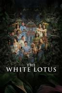 The White Lotus Image