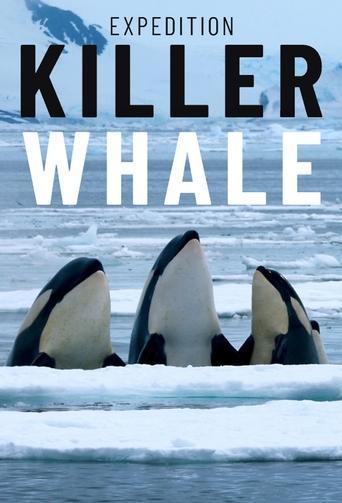 Expedition Killer Whale image