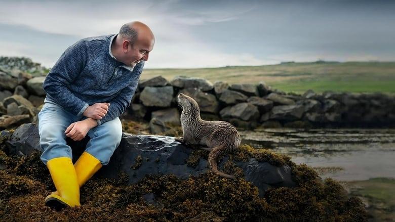 Billy & Molly: An Otter Love Story image