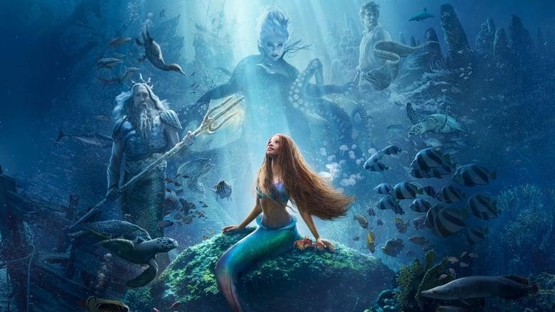 The Little Mermaid image