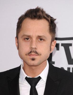 Giovanni Ribisi image