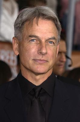 Mark Harmon image