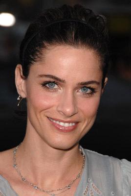 Amanda Peet image