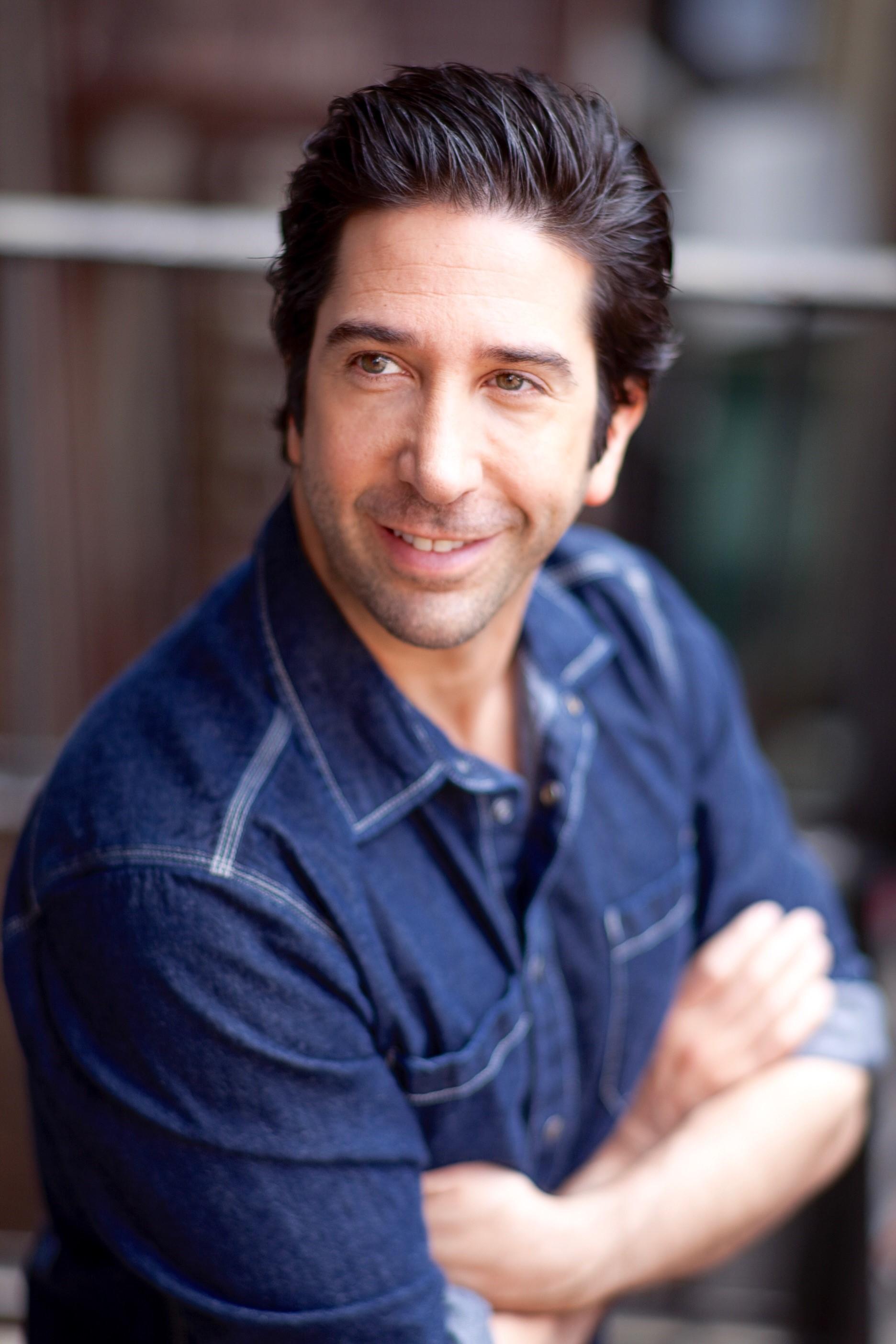 David Schwimmer image