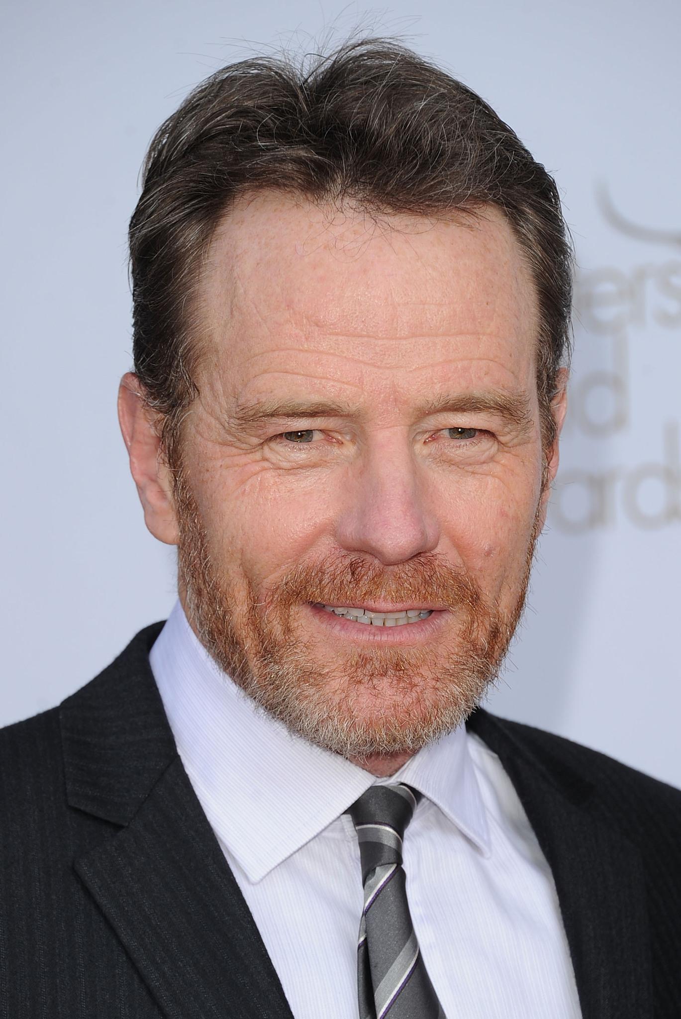 Bryan Cranston image