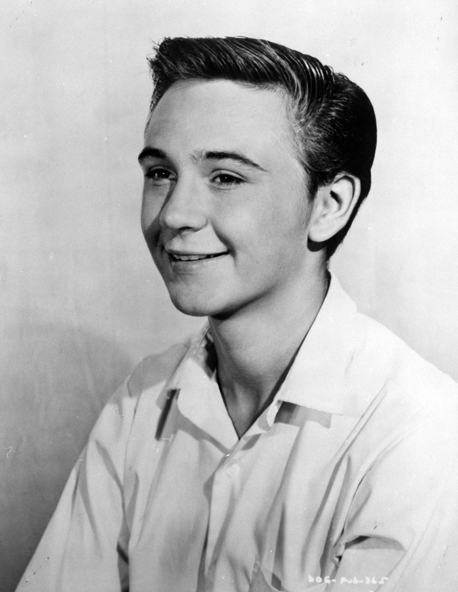 Tommy Kirk image