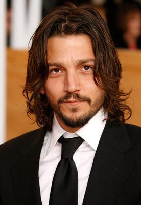 Diego Luna image