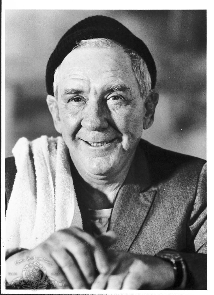 Burgess Meredith image